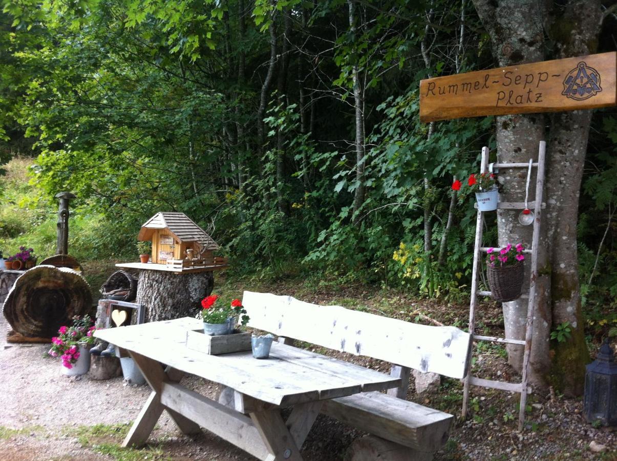 Ferienwohnung Waldblick Todtnau Bagian luar foto