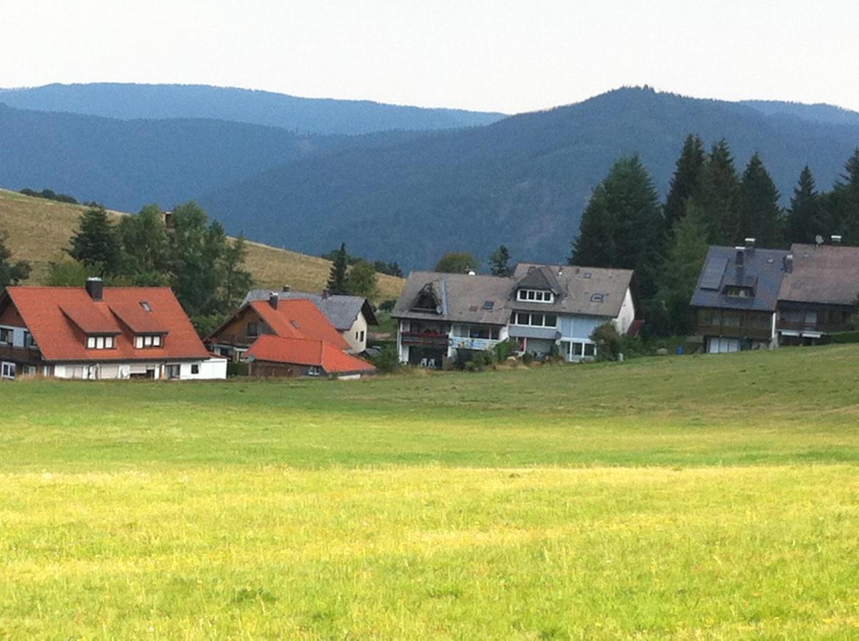 Ferienwohnung Waldblick Todtnau Bagian luar foto
